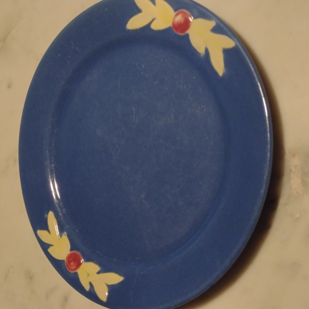 Vintage Coors Rosebud Plate